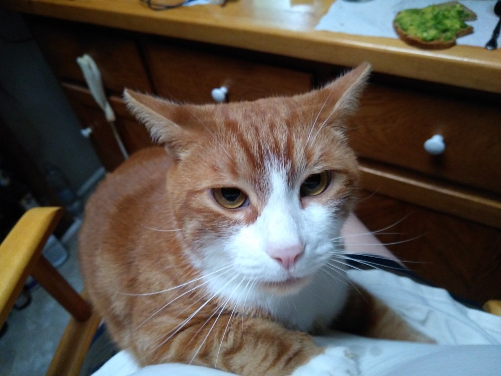Rufus J. Towhee